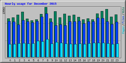 Hourly usage for December 2015