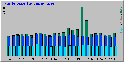 Hourly usage for January 2016