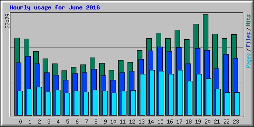 Hourly usage for June 2016