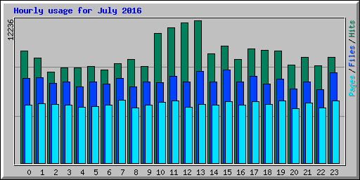 Hourly usage for July 2016