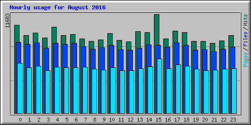 Hourly usage for August 2016